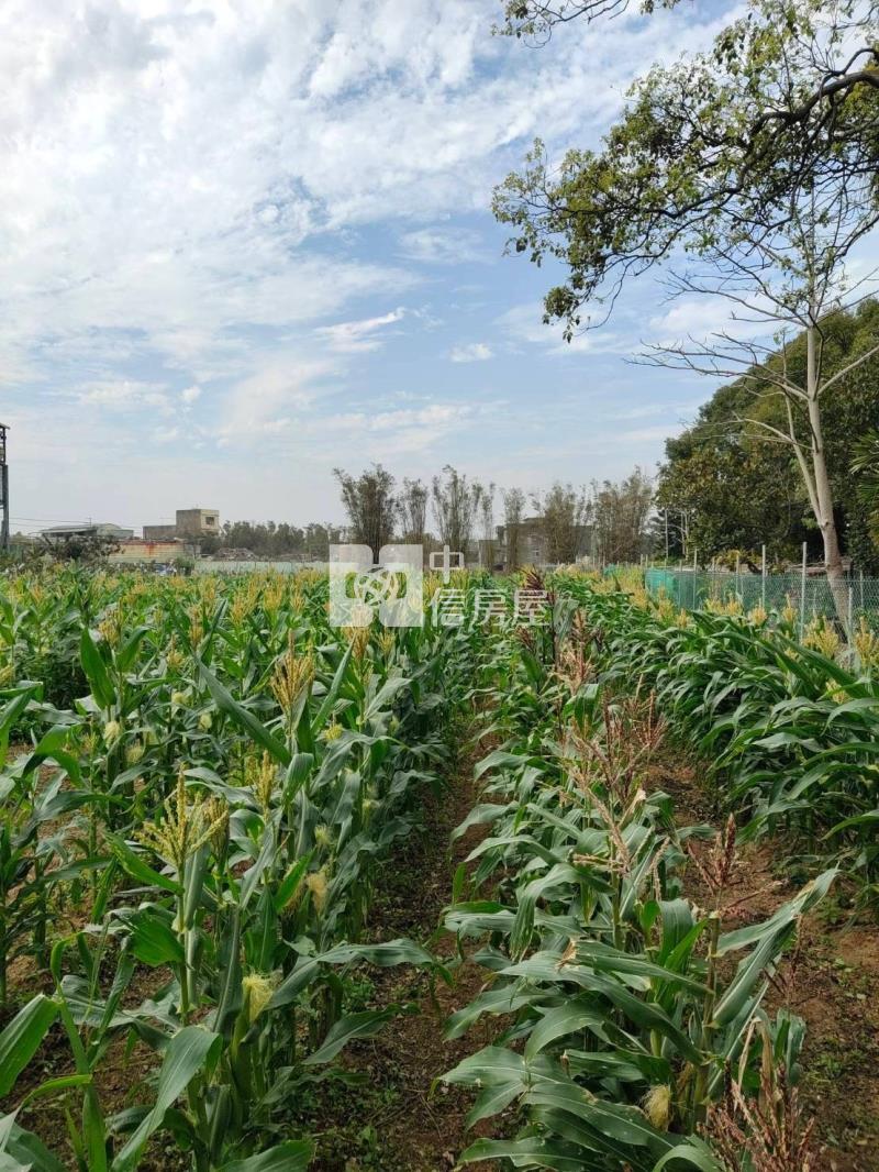 新屋近66農地+合法資材室房屋室內格局與周邊環境