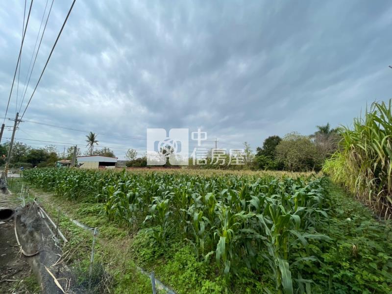 安定交流道都內方正美農地一房屋室內格局與周邊環境