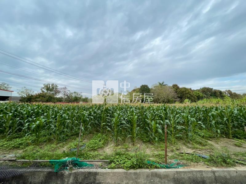 安定交流道都內方正美農地一房屋室內格局與周邊環境