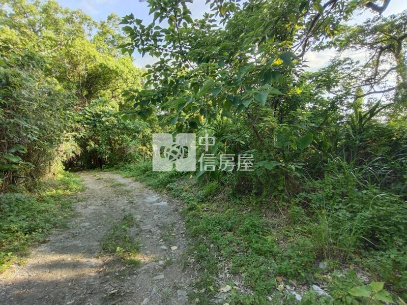 【安家】近台積電寶山農牧用地+丙建