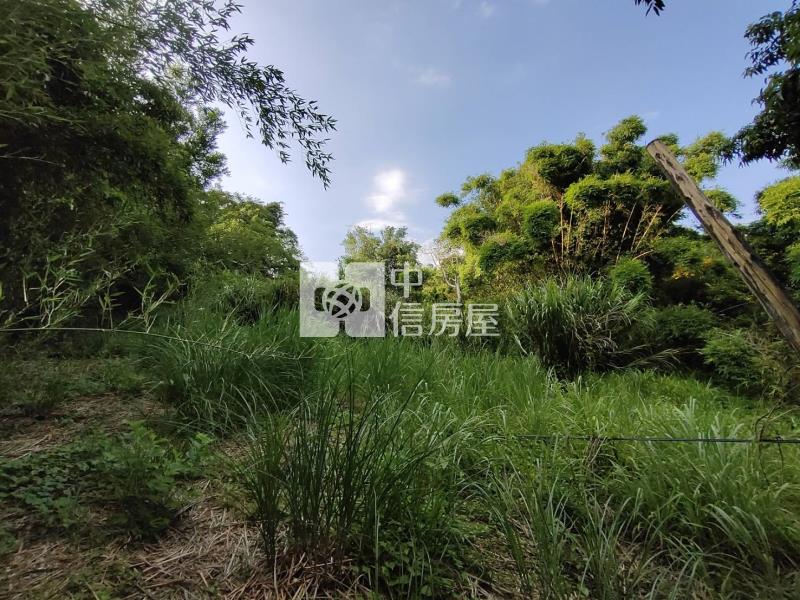 【安家】近台積電寶山農牧用地+丙建房屋室內格局與周邊環境