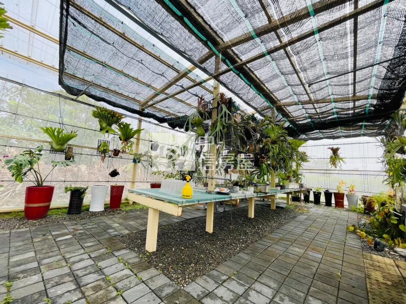 斗六近縣政府農舍房屋室內格局與周邊環境