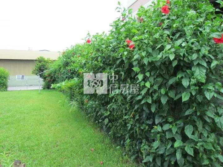 斗六近縣政府農舍房屋室內格局與周邊環境