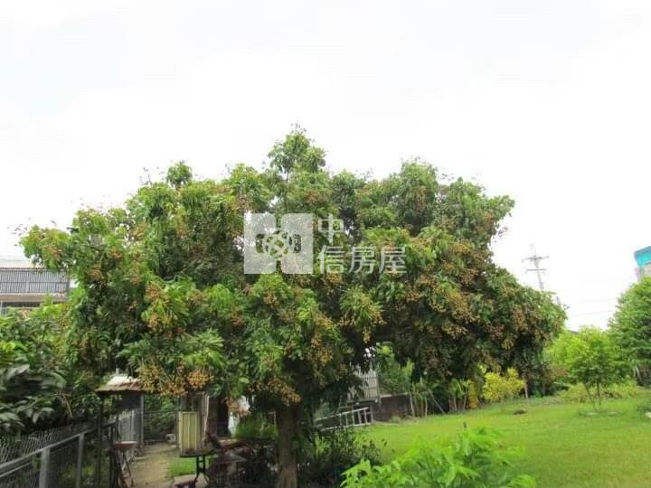 斗六近縣政府農舍房屋室內格局與周邊環境