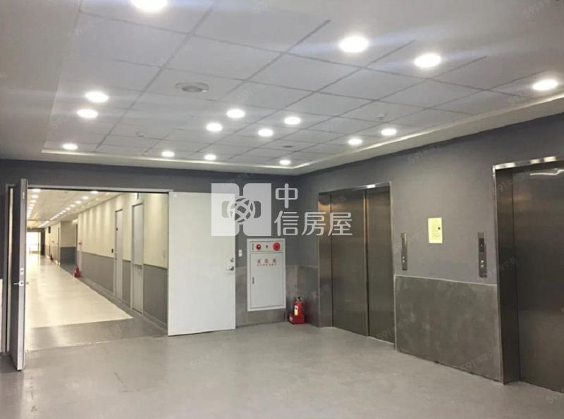 中壢東聯新世紀廠辦+雙車位(A)(中信卓越團隊)房屋室內格局與周邊環境