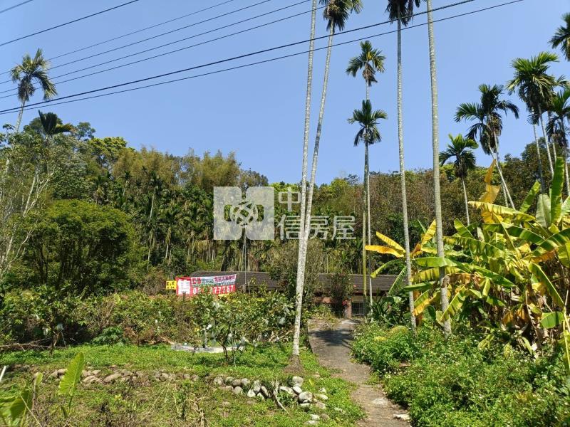 古坑華興倒孔山平房+農地房屋室內格局與周邊環境