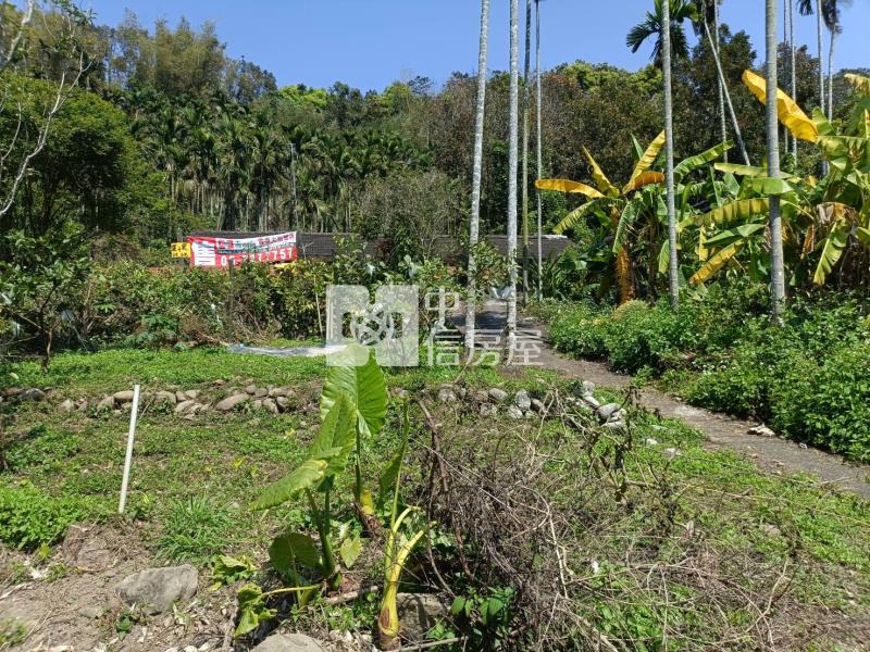 古坑華興倒孔山平房+農地房屋室內格局與周邊環境