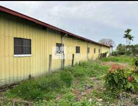 屏東土地《前進農地(鐵皮屋違章建築二間)》房屋室內格局與周邊環境