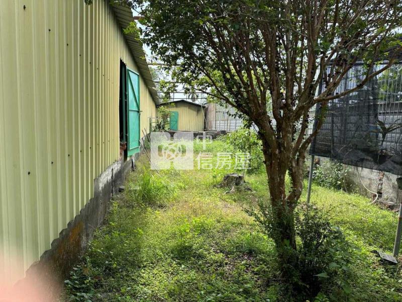 屏東土地《前進農地(鐵皮屋違章建築二間)》房屋室內格局與周邊環境