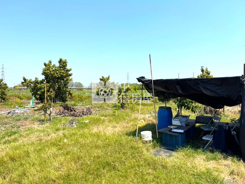 善化六分寮酪梨園3.7分一般農房屋室內格局與周邊環境
