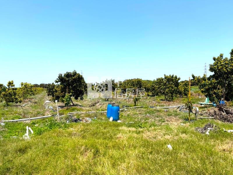 善化六分寮酪梨園3.7分一般農房屋室內格局與周邊環境