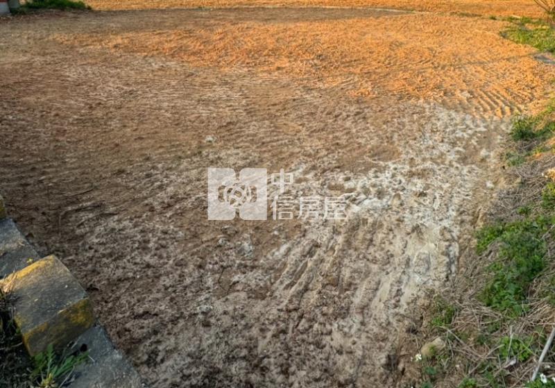 【安家】專任-大園大觀路近客運段旁美農地房屋室內格局與周邊環境