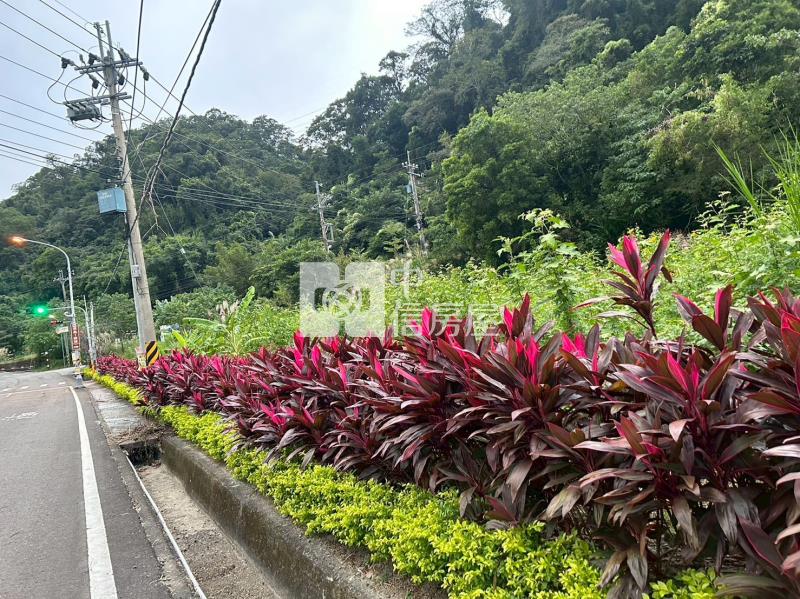 獅潭大面寬已整地美農地房屋室內格局與周邊環境
