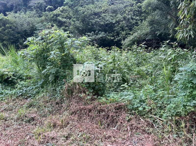 獅潭大面寬已整地美農地房屋室內格局與周邊環境