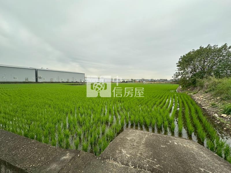霧峰特定農業區775坪農牧用地房屋室內格局與周邊環境
