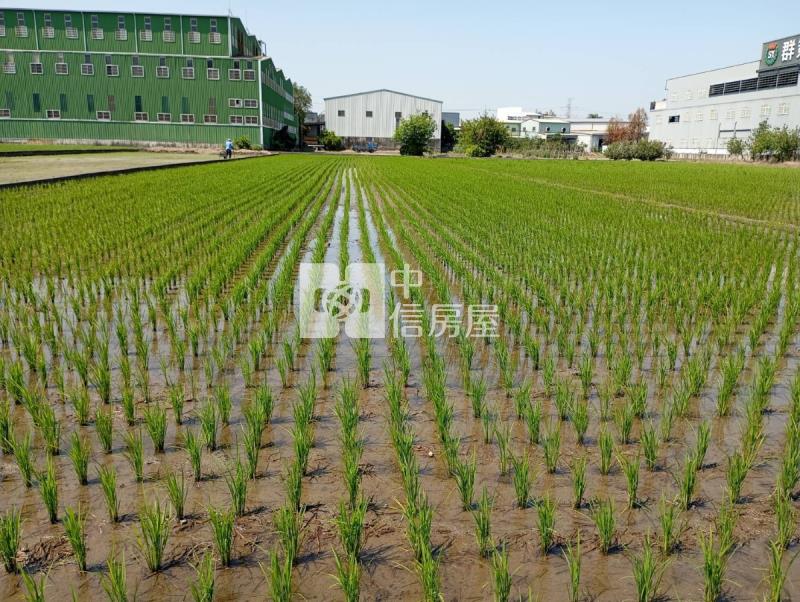 溪南臨路大面寬方正農地房屋室內格局與周邊環境