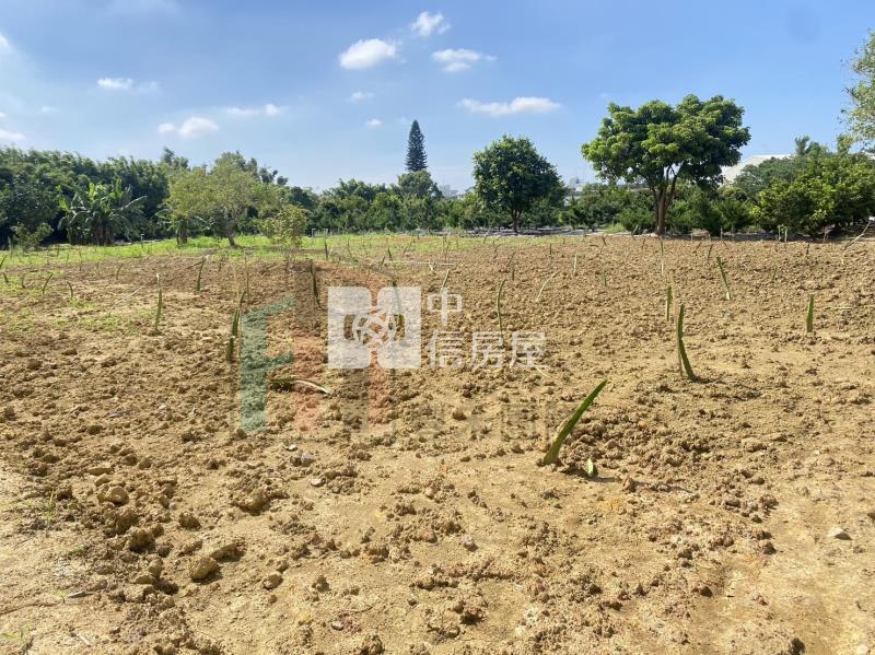 【豐禾】平鎮66快速路旁一般農地房屋室內格局與周邊環境