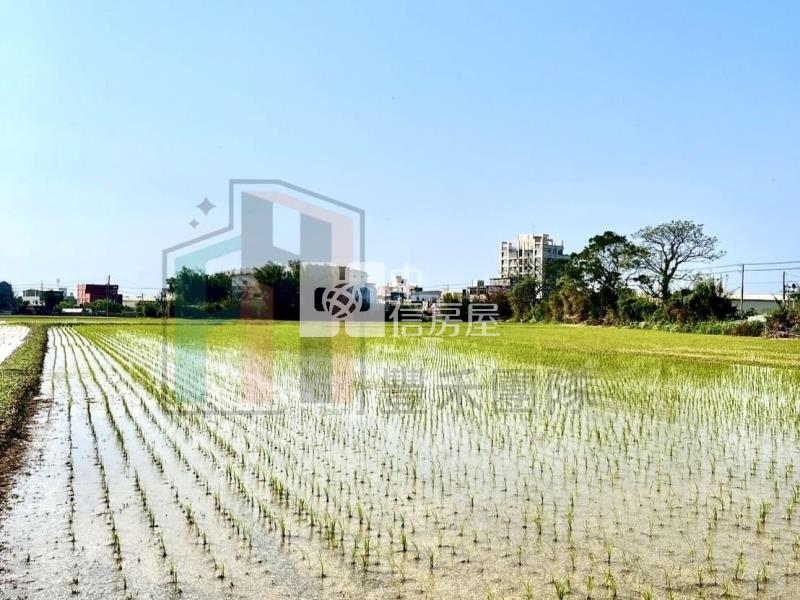 【豐禾】觀音區新坡都內農(可分割)房屋室內格局與周邊環境