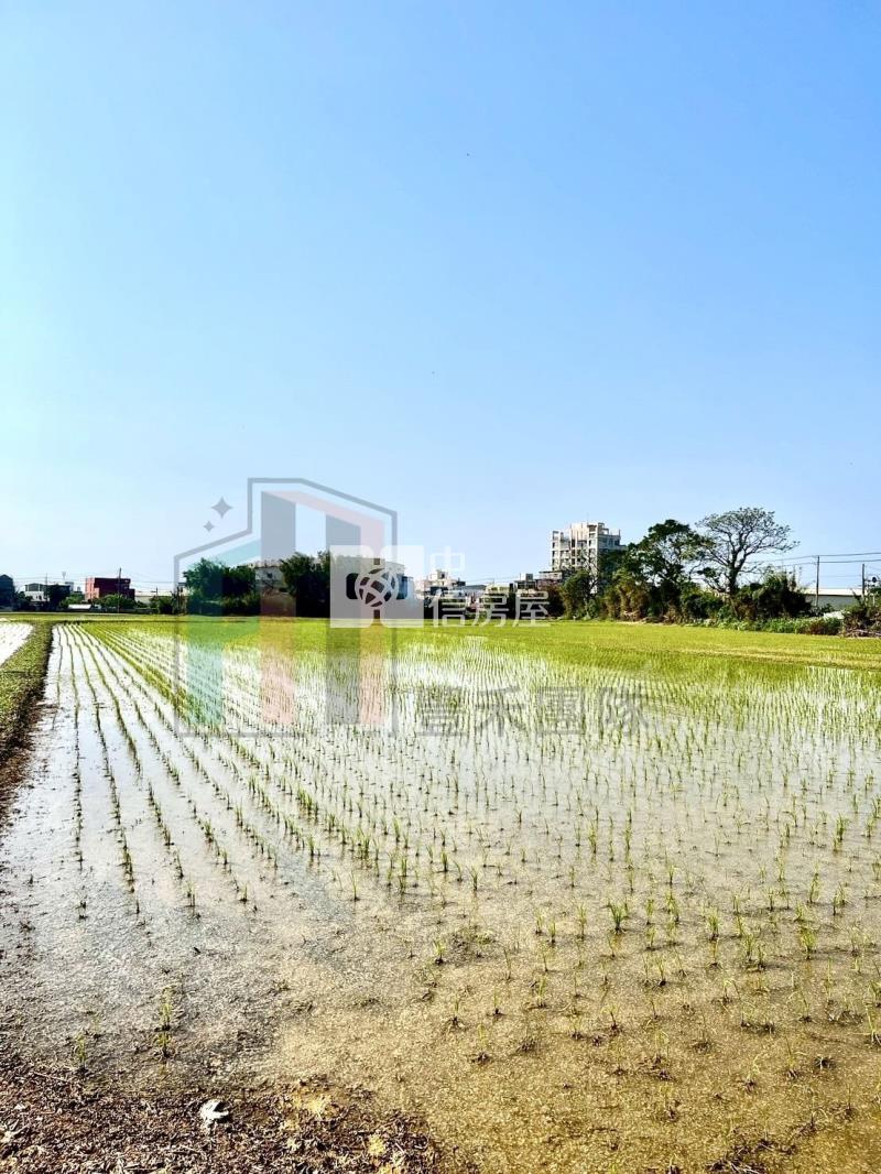 【豐禾】觀音區新坡都內農(可分割)房屋室內格局與周邊環境