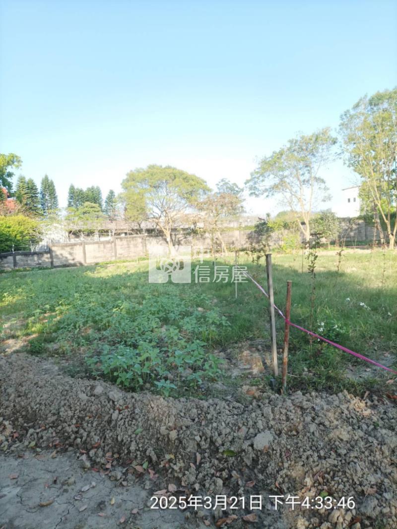 大溪石園段一般農房屋室內格局與周邊環境