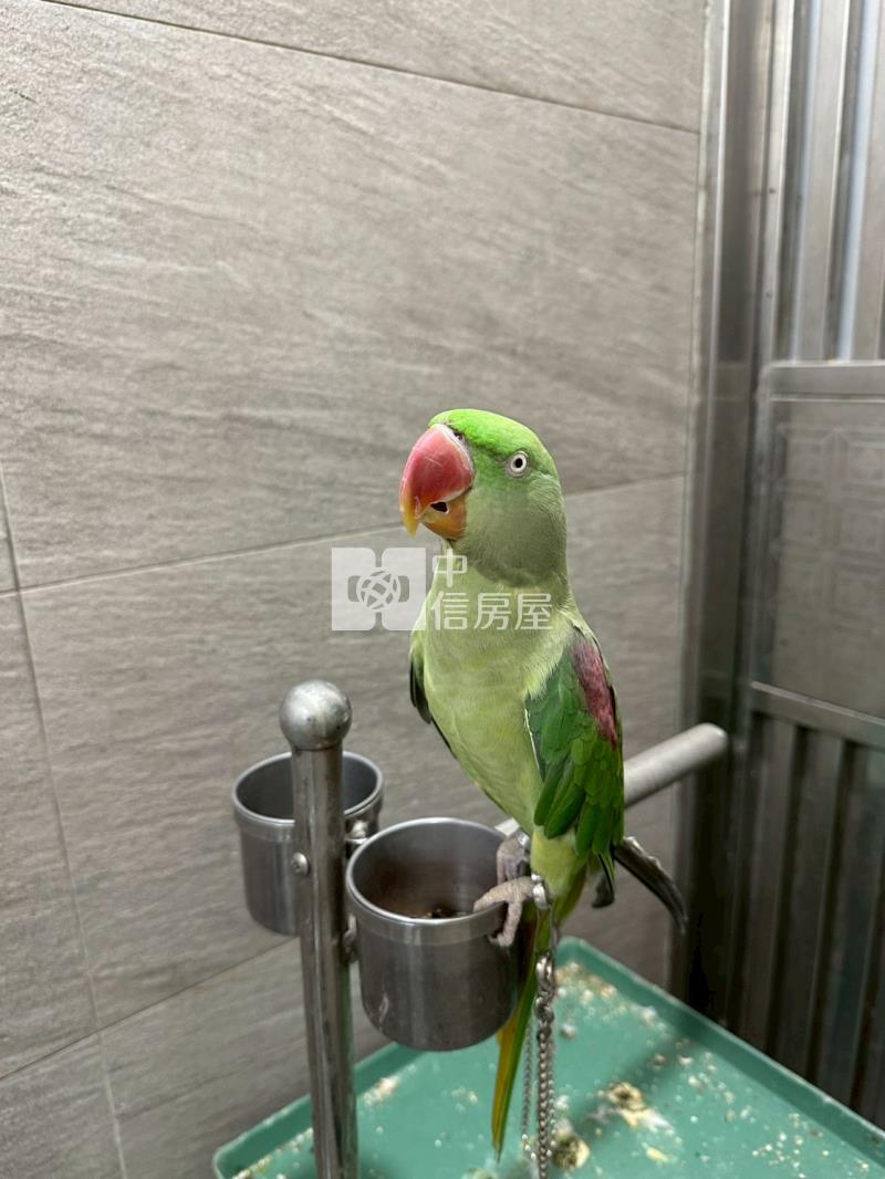 勤益科大輕屋齡整棟收租聖品房屋室內格局與周邊環境