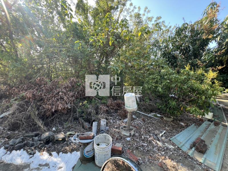 喜樹加油站後方農地房屋室內格局與周邊環境
