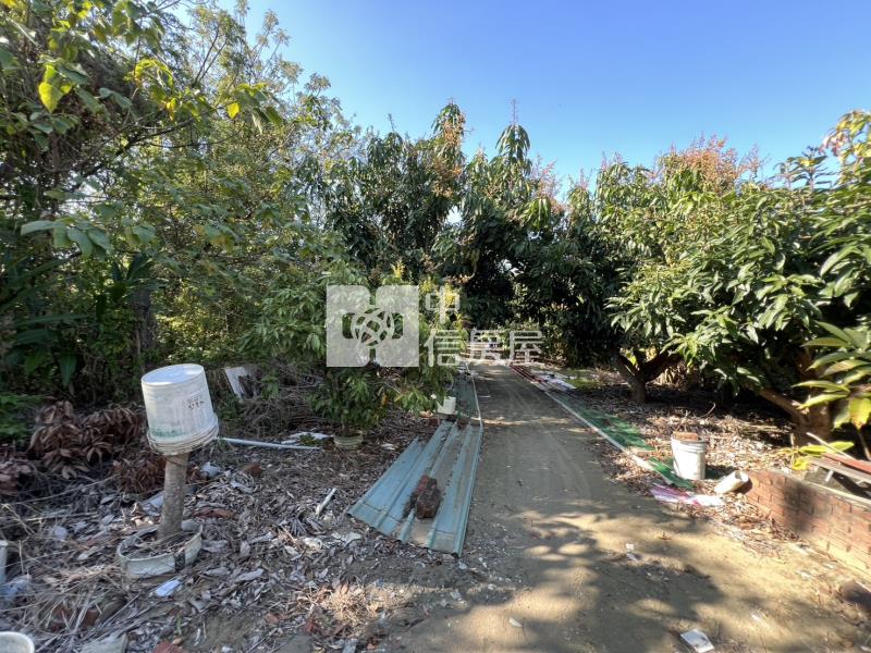 喜樹加油站後方農地房屋室內格局與周邊環境