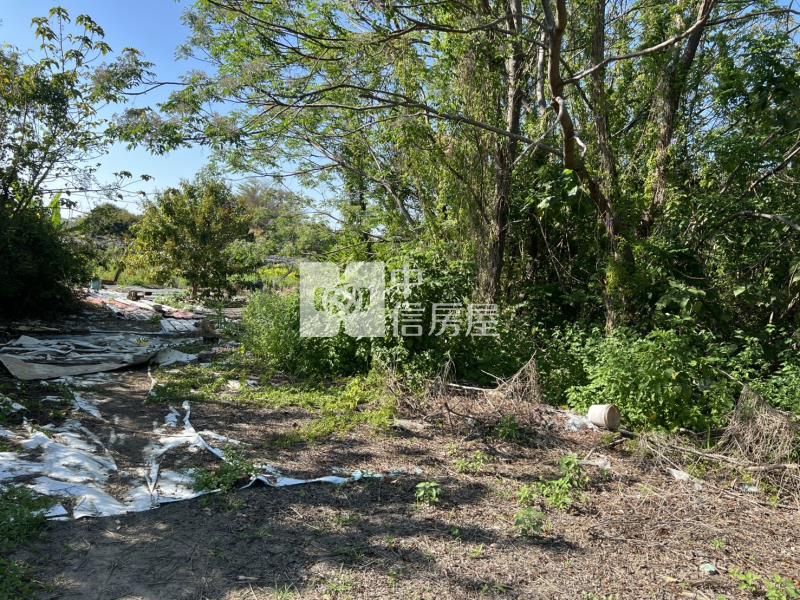 喜樹加油站後方農地房屋室內格局與周邊環境
