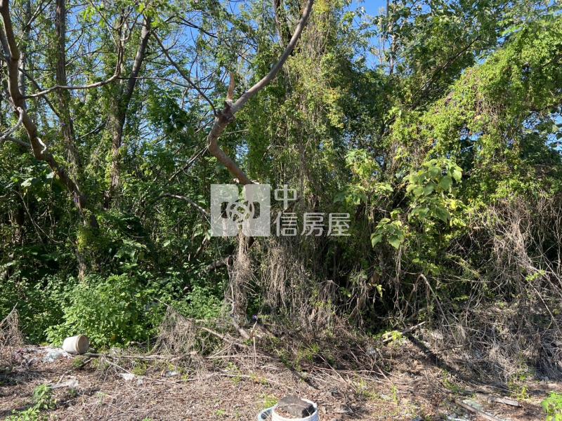 喜樹加油站後方農地房屋室內格局與周邊環境