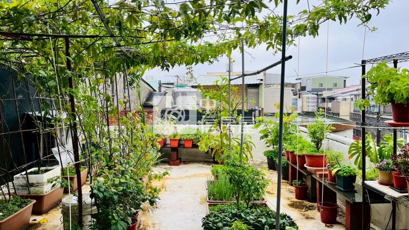 平鎮山仔頂市場大坪數房屋室內格局與周邊環境