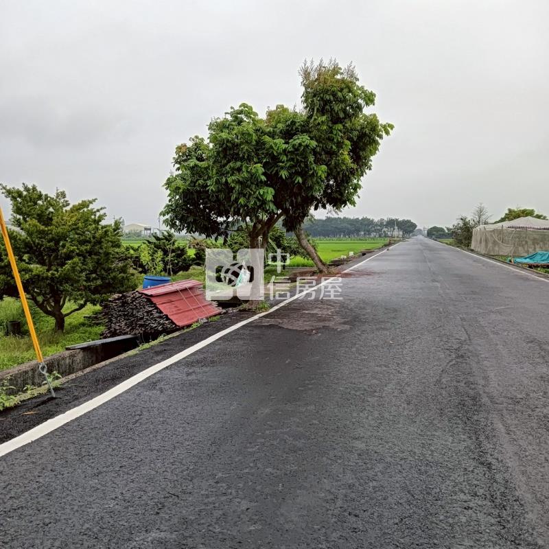 莿桐六合國小農地