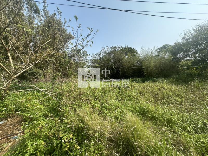 大園溪洲段甲建加農地房屋室內格局與周邊環境