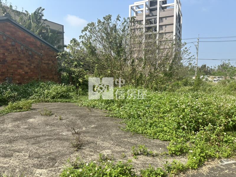 大園溪洲段甲建加農地房屋室內格局與周邊環境