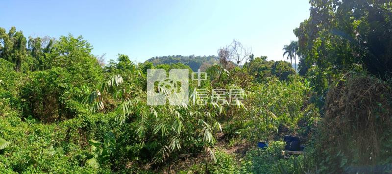 【南投竹山】交通便利都計農房屋室內格局與周邊環境