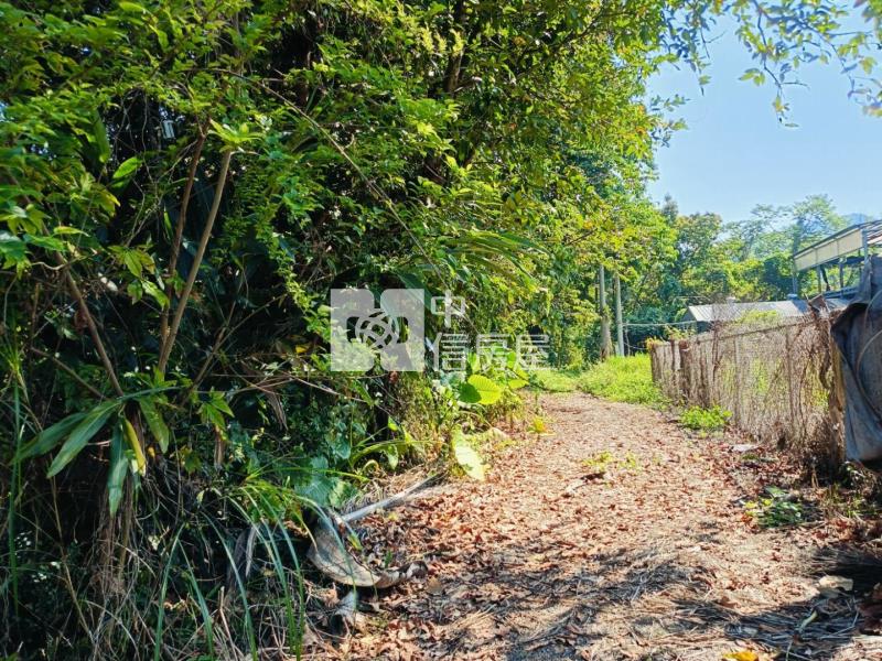 【南投竹山】交通便利都計農房屋室內格局與周邊環境