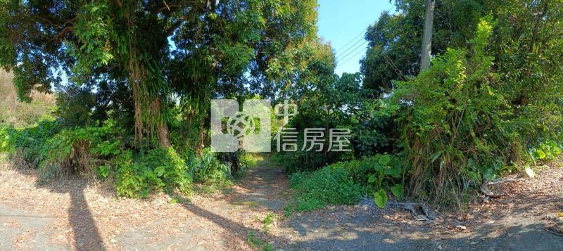 【南投竹山】交通便利都計農房屋室內格局與周邊環境