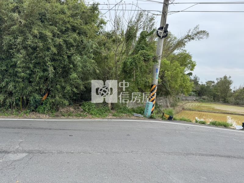 大園溪洲段臨路甲建房屋室內格局與周邊環境