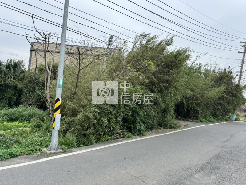 大園溪洲段臨路甲建房屋室內格局與周邊環境