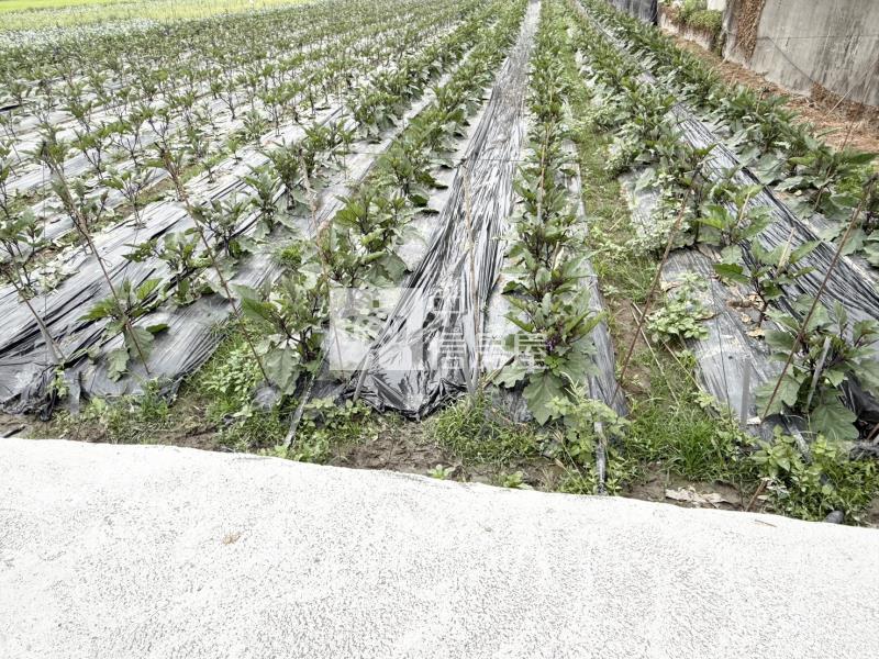 和發工業區旁都計內農地房屋室內格局與周邊環境