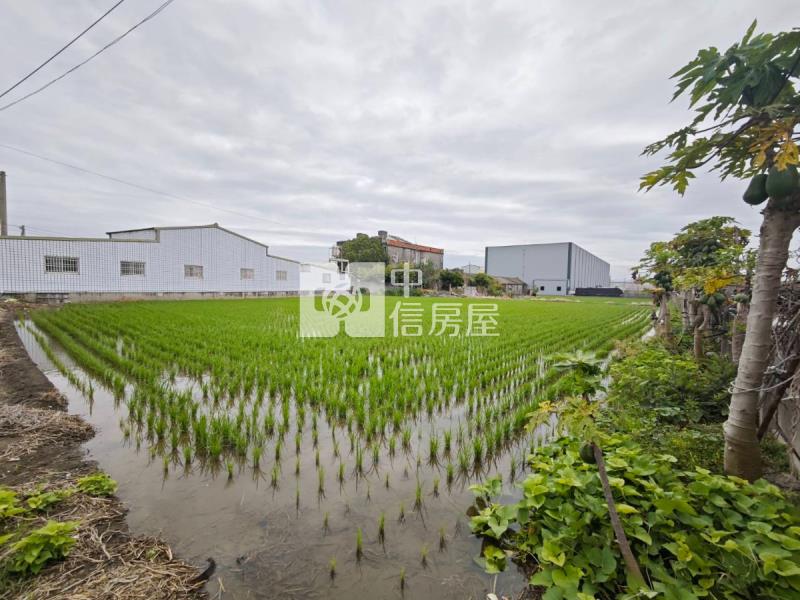 埔鹽雙臨路大地坪農+建地房屋室內格局與周邊環境