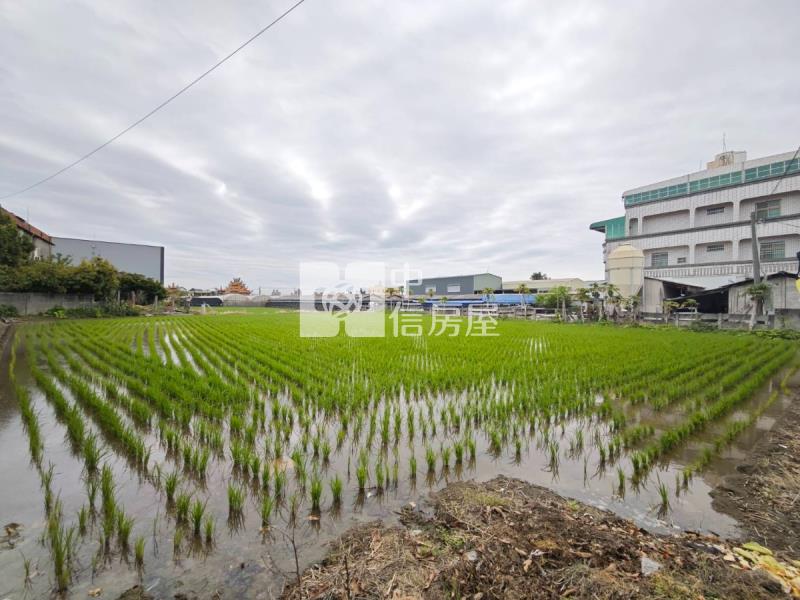 埔鹽雙臨路大地坪農+建地房屋室內格局與周邊環境
