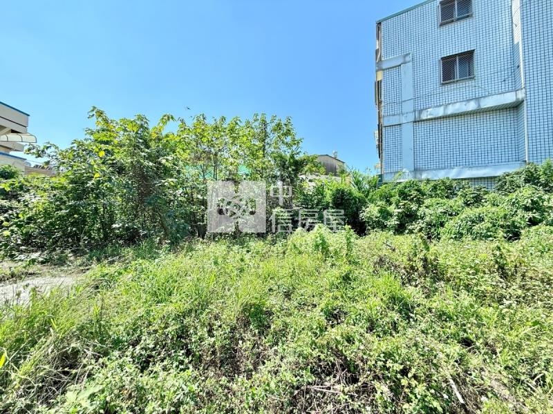 夏田產業園區6米活路角地房屋室內格局與周邊環境