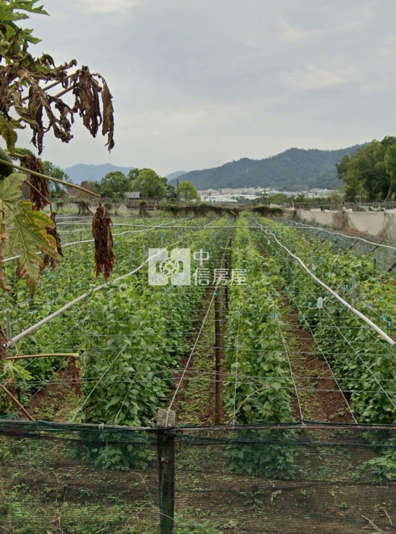 新社農地房屋室內格局與周邊環境