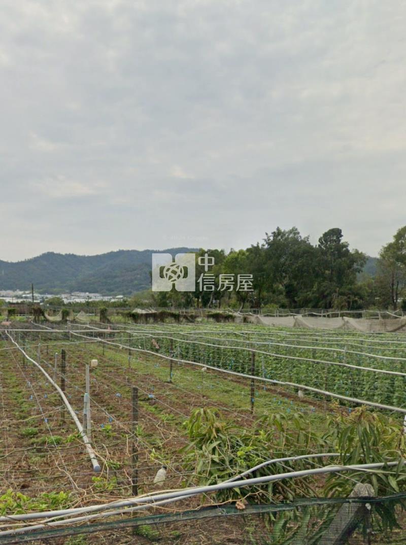 新社農地房屋室內格局與周邊環境