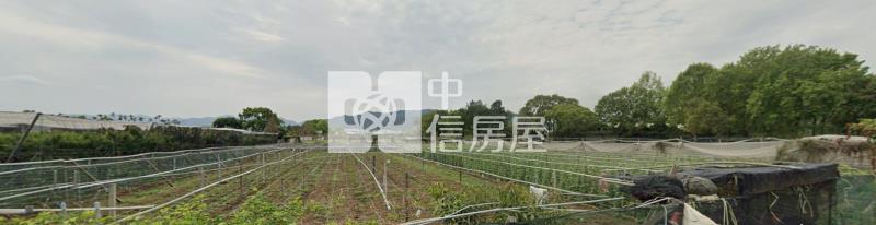 新社農地房屋室內格局與周邊環境