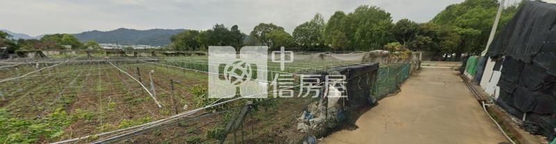 新社農地房屋室內格局與周邊環境