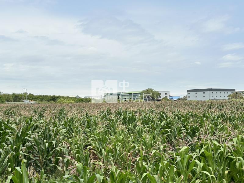 安南都內4千坪農地房屋室內格局與周邊環境