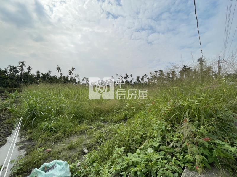 屏東義大便宜農地房屋室內格局與周邊環境