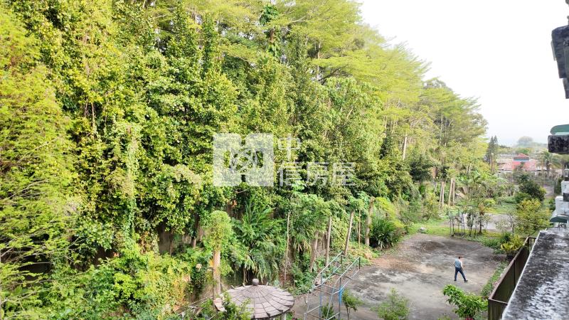 君臨別墅 ★影音空拍只在中信嘉義玉山店房屋室內格局與周邊環境