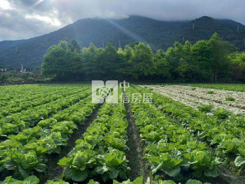 花蓮優美農地房屋室內格局與周邊環境